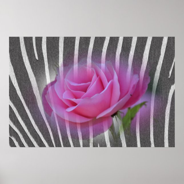 Zebra Print Rose (Front)