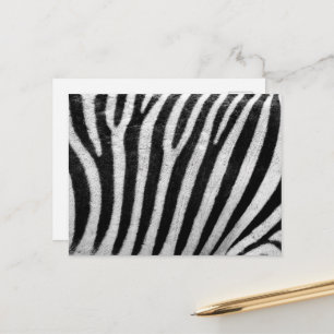 Zebra Print, Zebra Stripes, Black And White Postcard