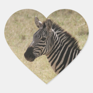zebra profile heart sticker