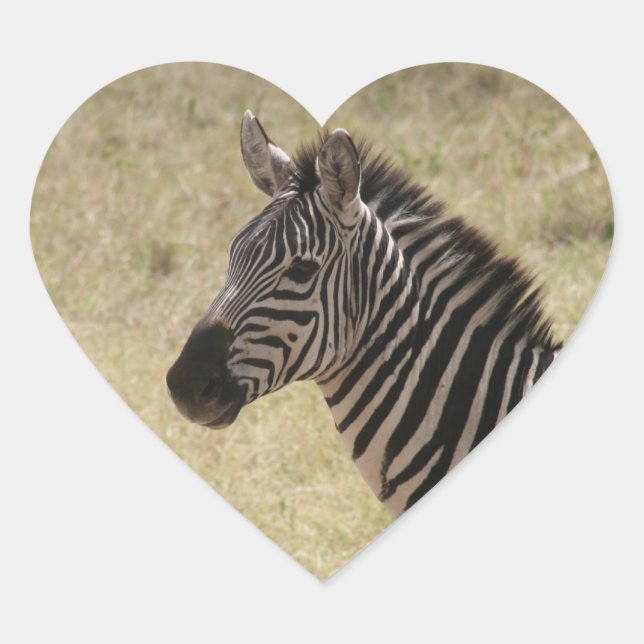 zebra profile heart sticker (Front)