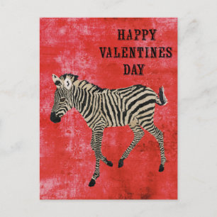 Zebra Red Valentines Day Postcard