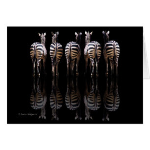 Zebra Reflections