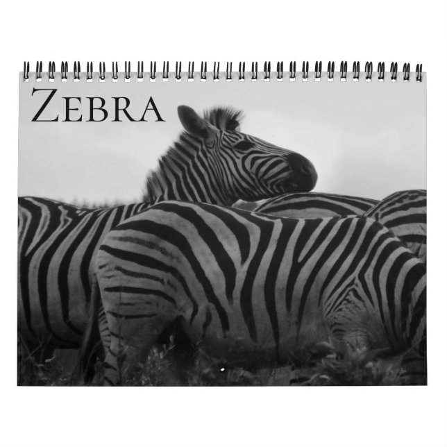 zebra safari 2026 calendar (Cover)