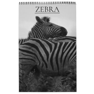 zebra safari calendar