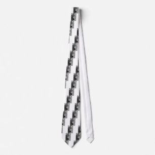 Zebra Safari Cute African Classy Stripes Tie