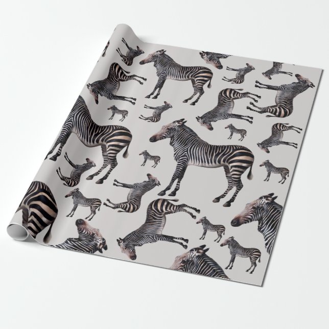 Zebra Safari Vintage Illustration Wrapping Paper (Unrolled)
