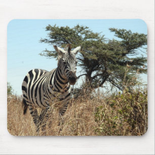 zebra scene mouse mat