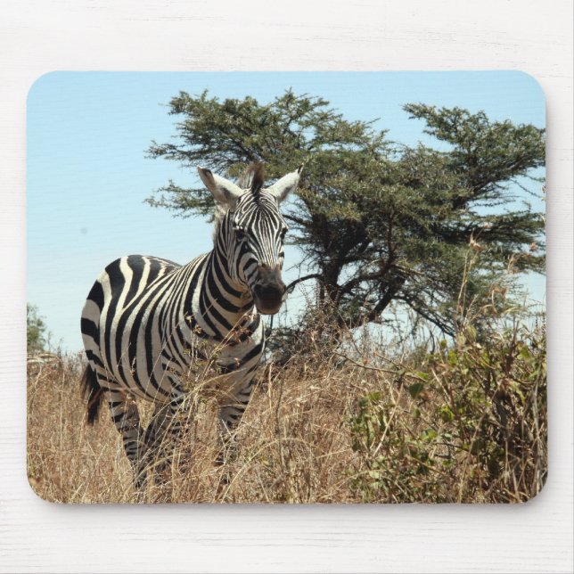 zebra scene mouse mat (Front)