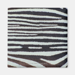 Zebra skin surface magnet