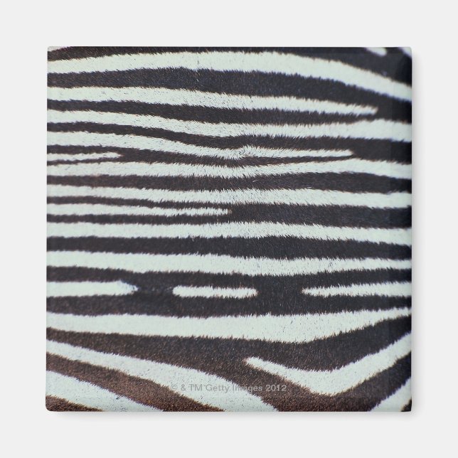 Zebra skin surface magnet (Front)
