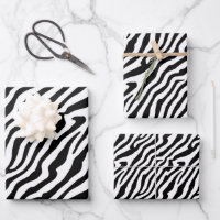 Zebra Skin Texture Stripes Black and White