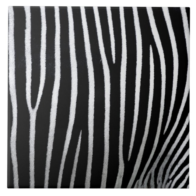 Zebra Skin Tile (Front)