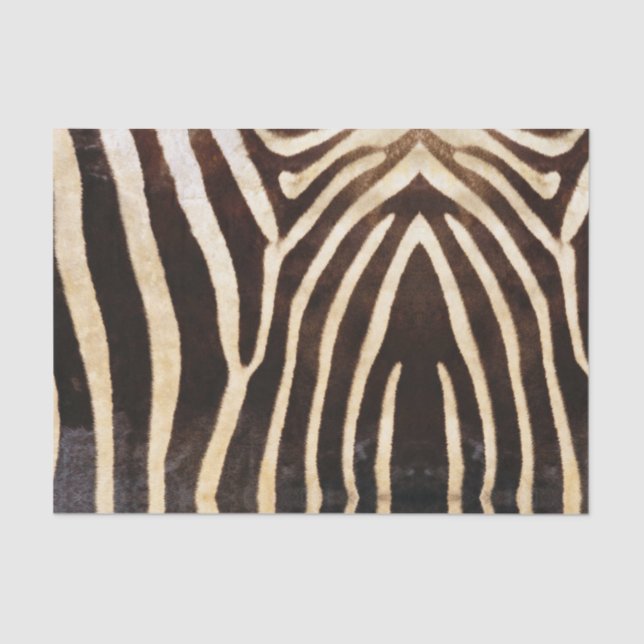 Zebra Skin Tissue Paper (Front)