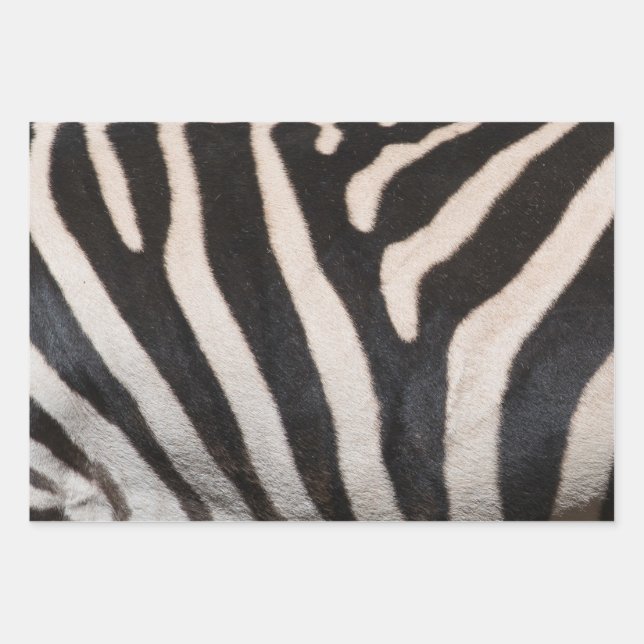 ZEBRA SKIN WRAPPING PAPER SHEET (Front)