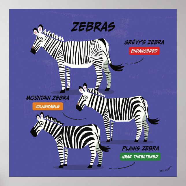 Zebra Species Art Poster v2 (Front)