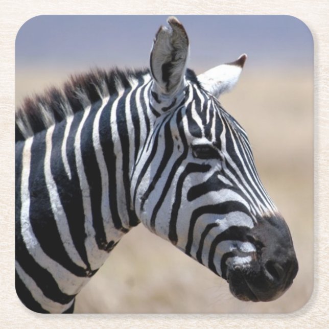 Zebra Square Paper Coaster (Front)