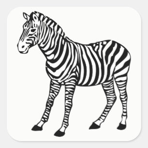 zebra square sticker