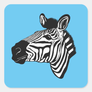 Zebra Square Sticker
