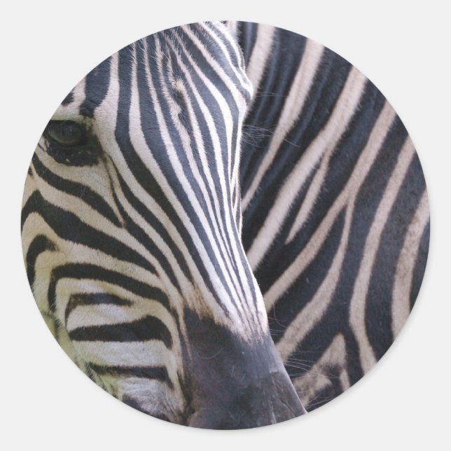 Zebra Sticker (Front)