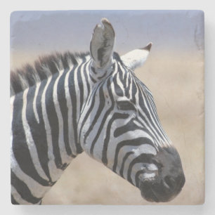 Zebra Stone Coaster