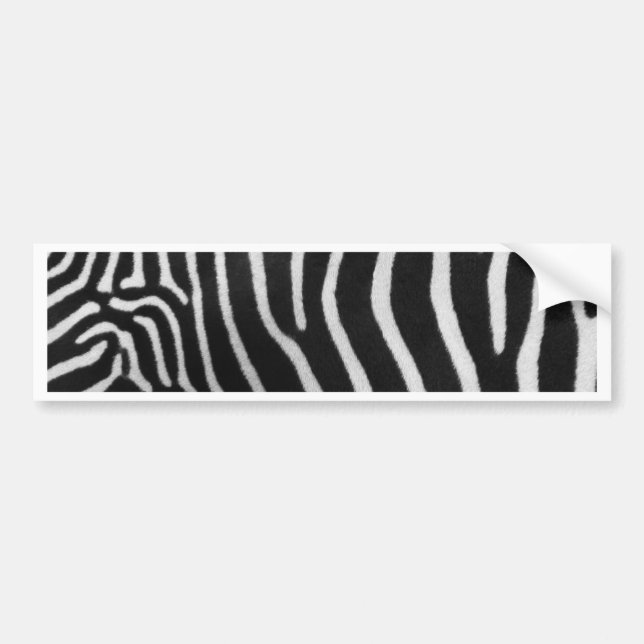 Zebra Stripe Pattern Bumper Sticker (Front)
