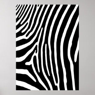Zebra Stripe Print (black & white)