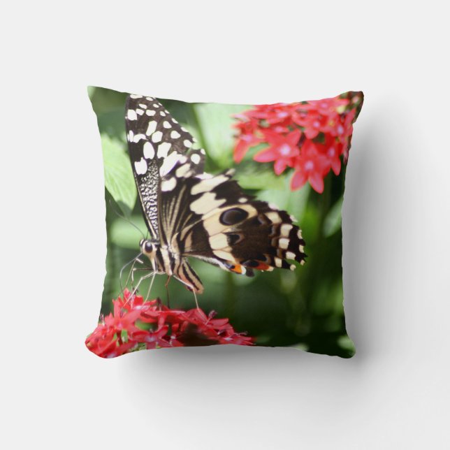 Zebra Striped Butterfly Cushion (Front)