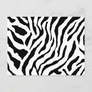 Zebra Striped Postcard