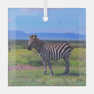 ZEBRA STRIPES  GLASS TREE DECORATION