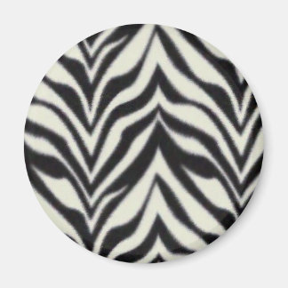 zebra stripes magnet