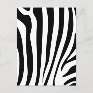 Zebra stripes postcard