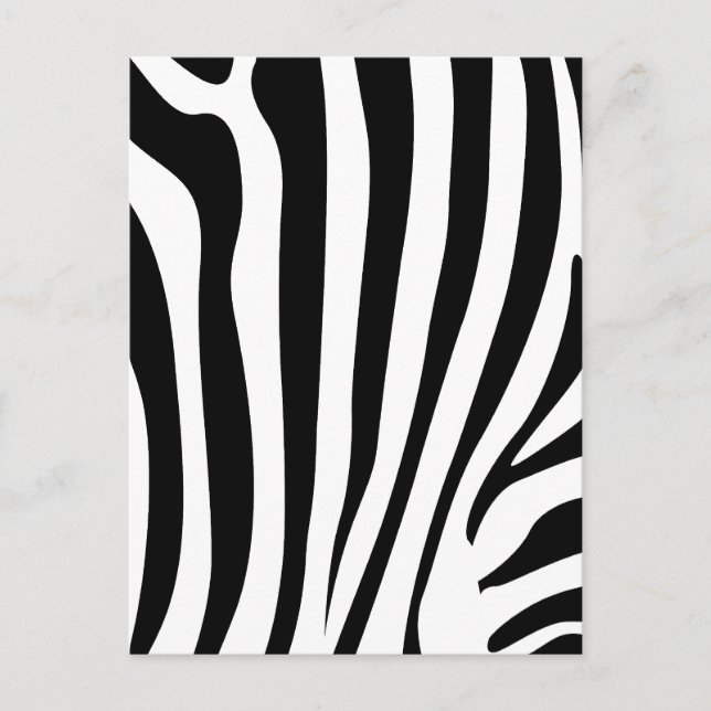 Zebra stripes postcard (Front)