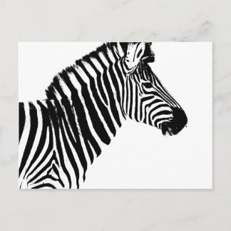 Zebra Stripes Postcard