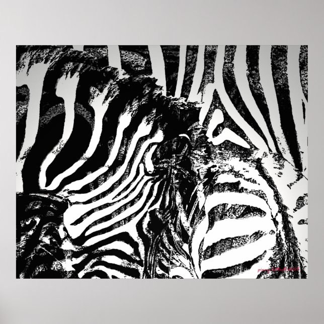 zebra stripes poster (Front)