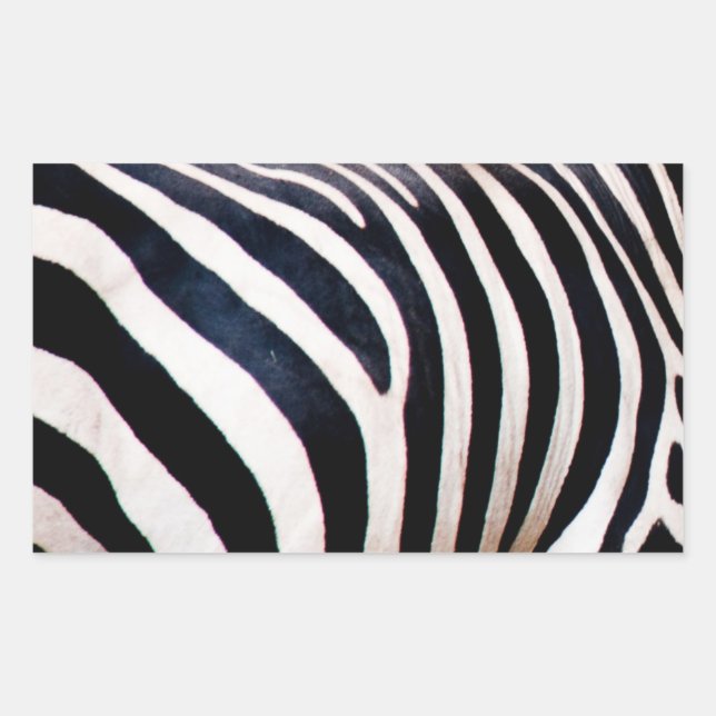 Zebra stripes rectangular sticker (Front)