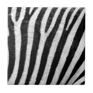 zebra Stripes Tile