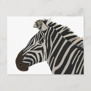 Zebra Stripes Wildlife Animal Postcard