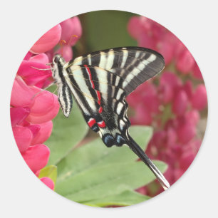 zebra swallowtail classic round sticker