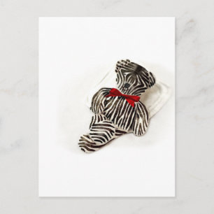 Zebra Teddy Postcard