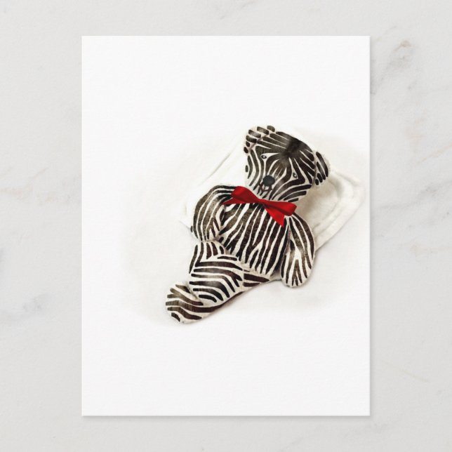 Zebra Teddy Postcard (Front)