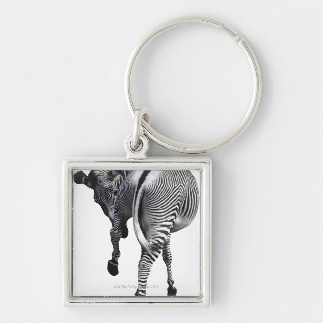 Zebra turning around key ring (Front)