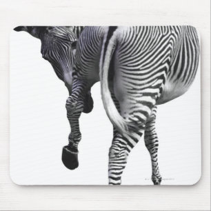Zebra turning around mouse mat