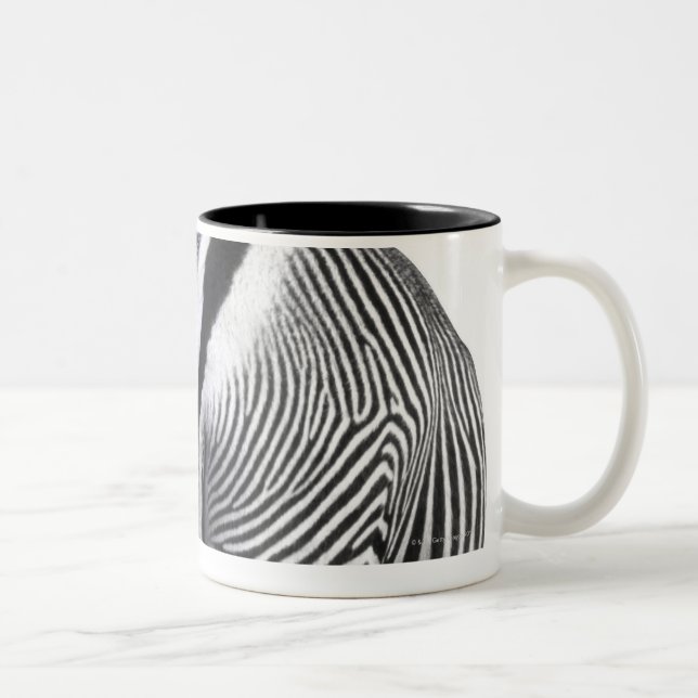 Zebra turning around Two-Tone coffee mug (Right)