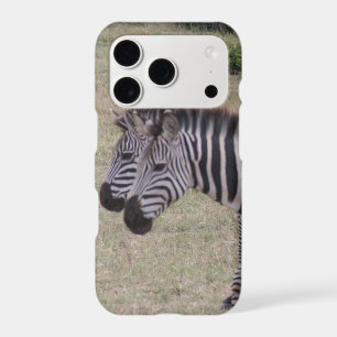 zebra twins