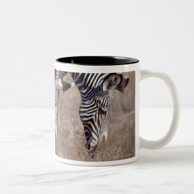 Zebra Two-Tone Coffee Mug (Right)