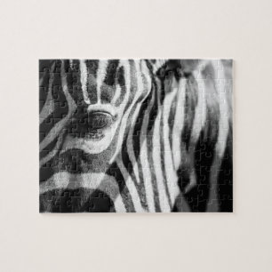 Zebra Up Close Jigsaw Puzzle