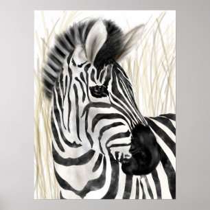 Zebra Wall Art Home Decor