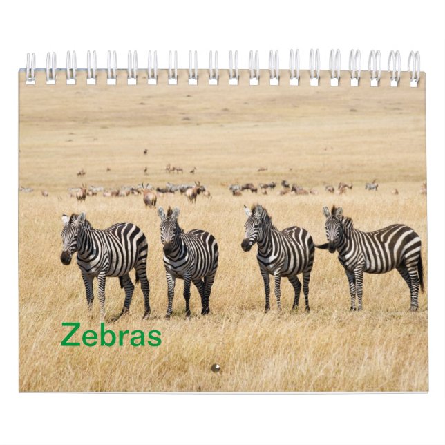 Zebra Wall Calendar (Cover)