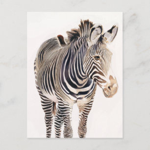 "Zebra" Watercolor Wildlife Art Postcard