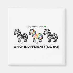 Zebra Which Is Different Magnet